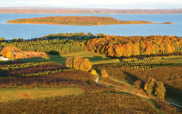 Winery old deals mission peninsula